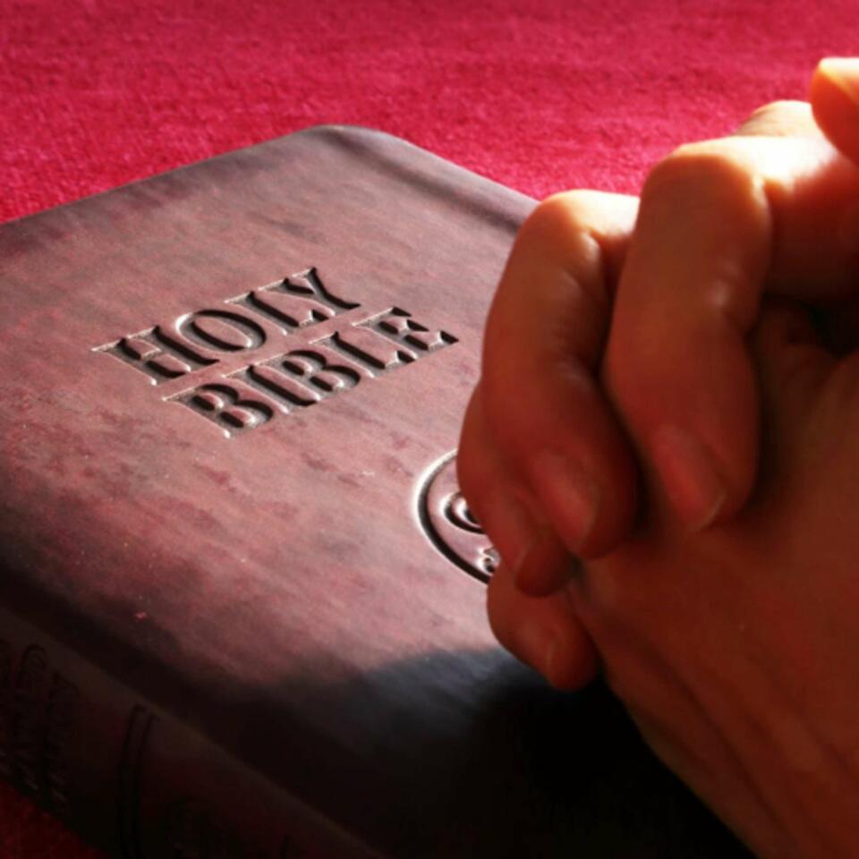 The Daily Bread