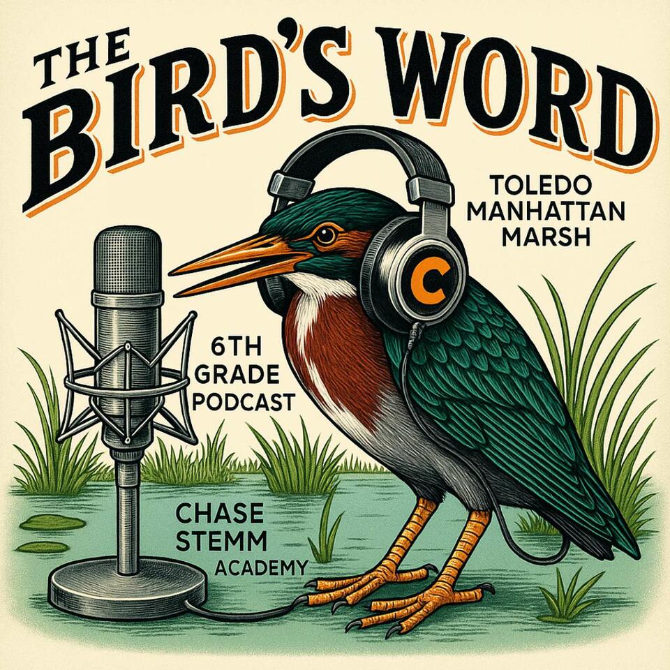 The Bird's Word - Chase STEMM Academy 6th Grade Scholars