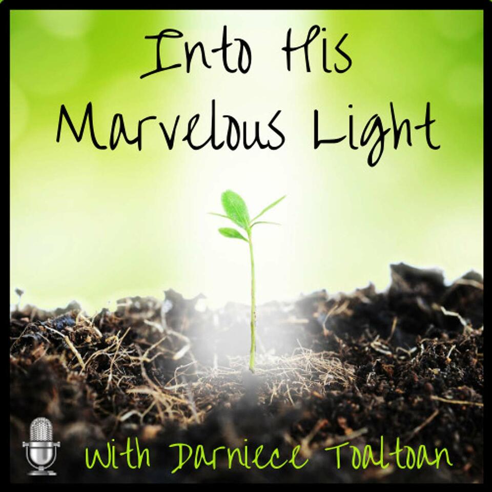 Into His Marvelous Light