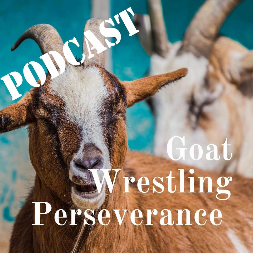 Goat Wrestling Perseverance