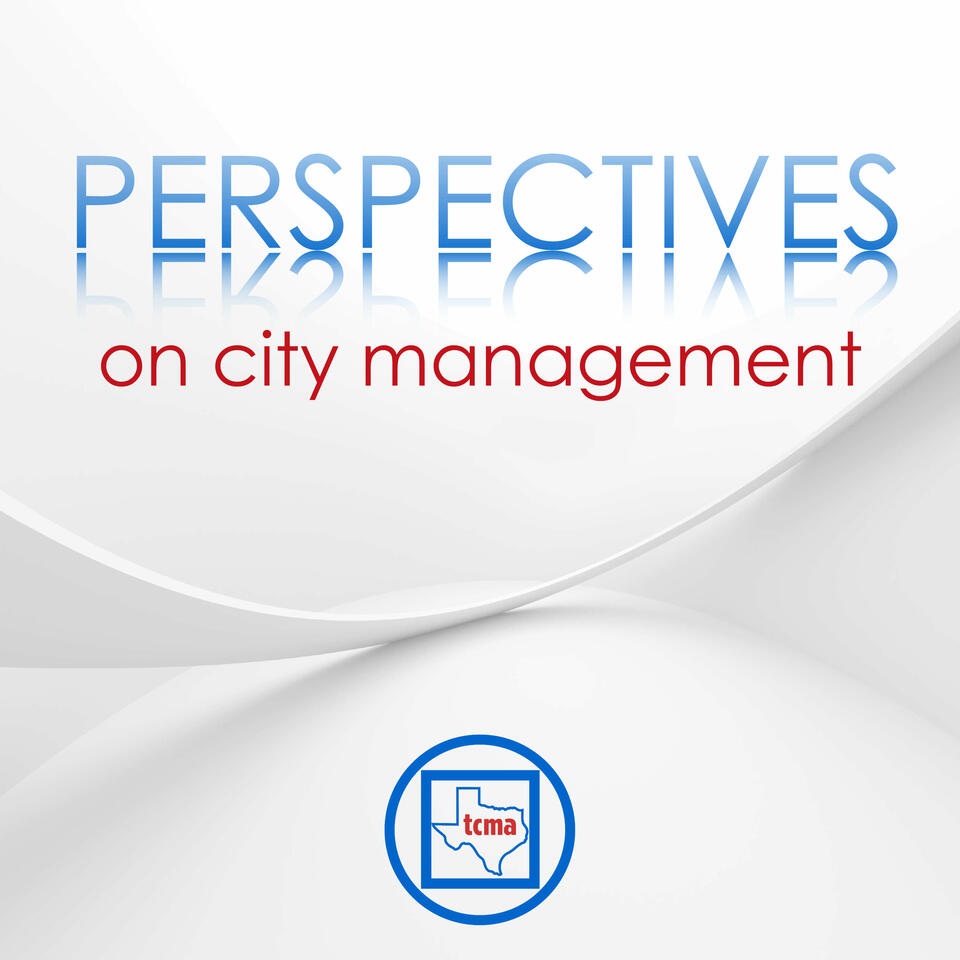 Perspectives on City Management