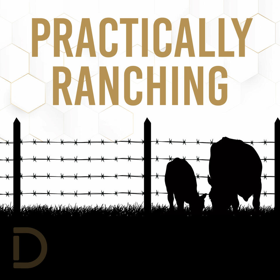 Practically Ranching