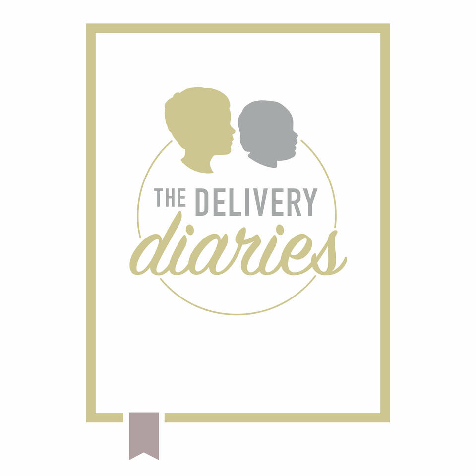 The Delivery Diaries