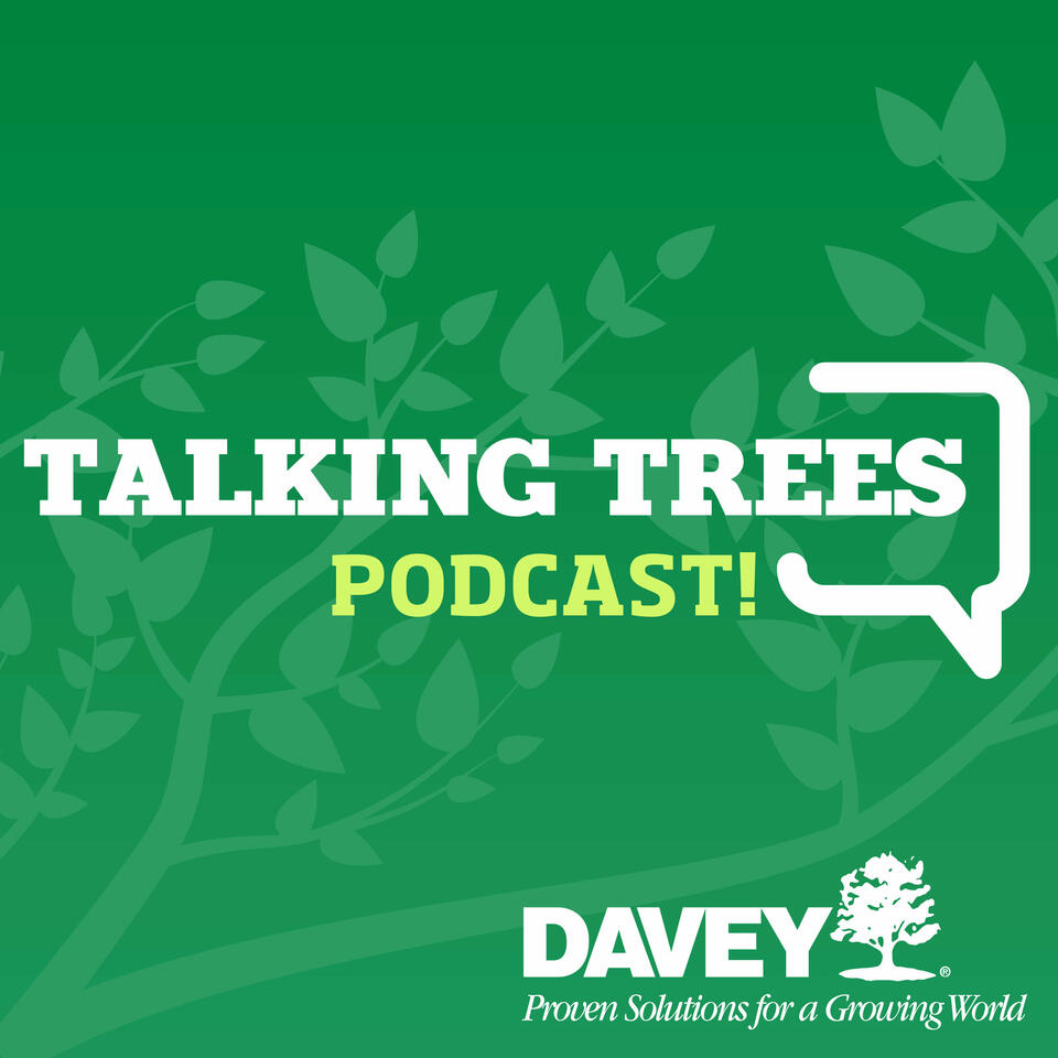 Talking Trees with Davey Tree