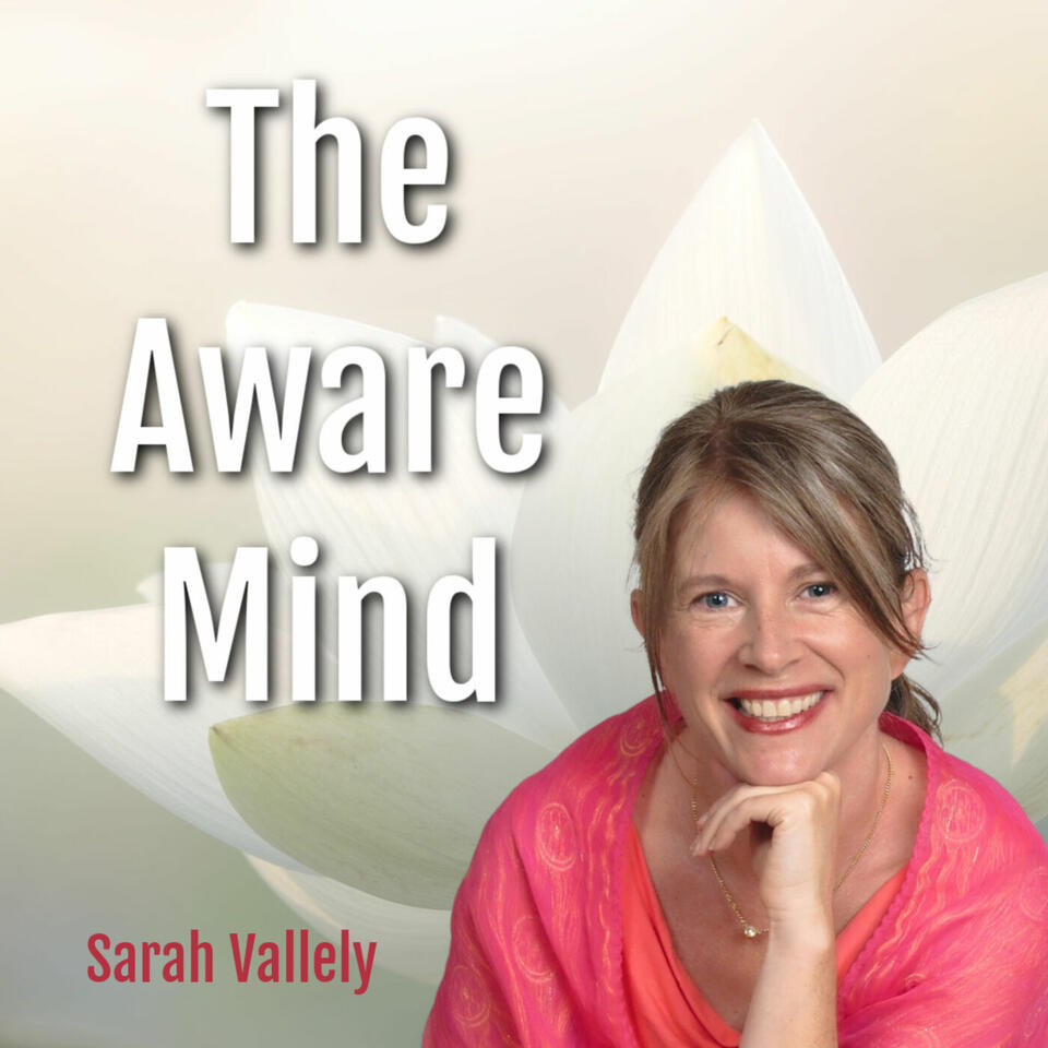 The Aware Mind