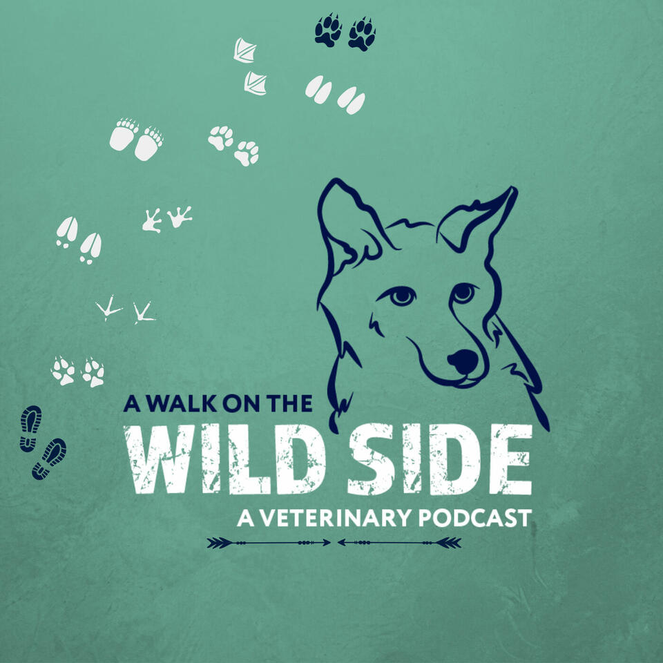 A Walk on the Wild Side: A Veterinary Podcast