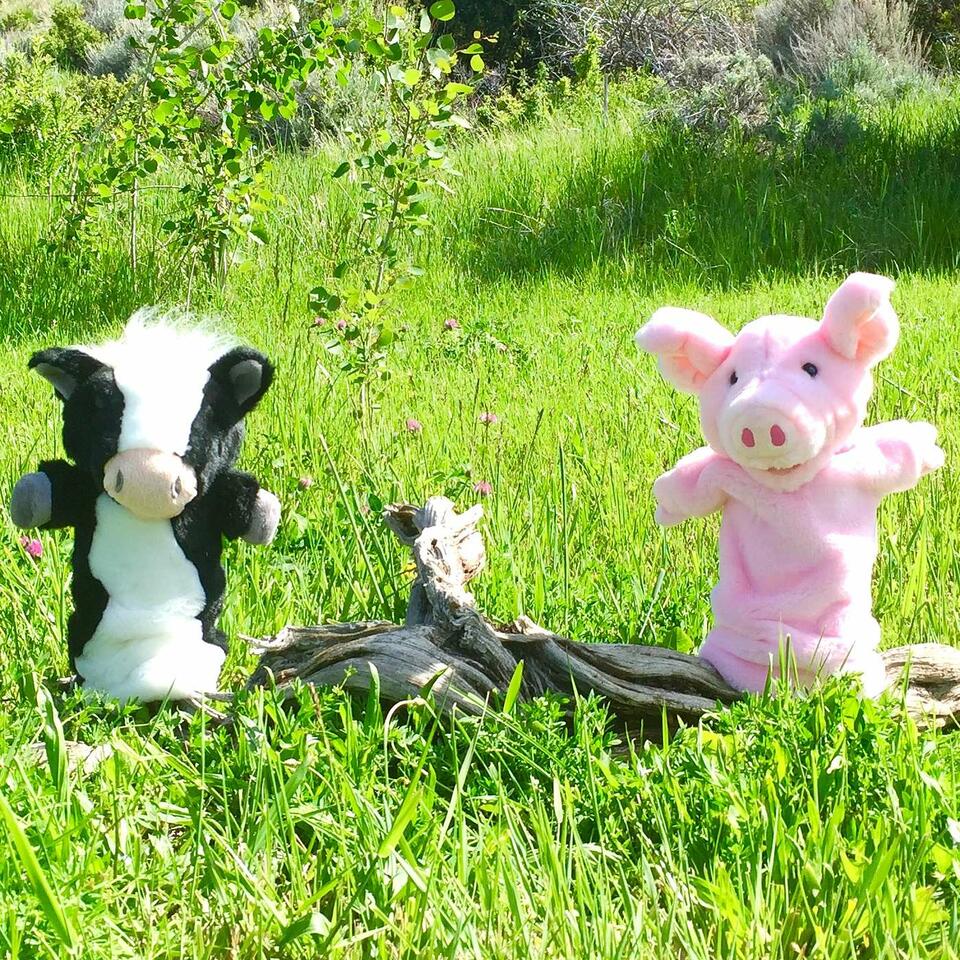 Pinkie The Pig Podcast
