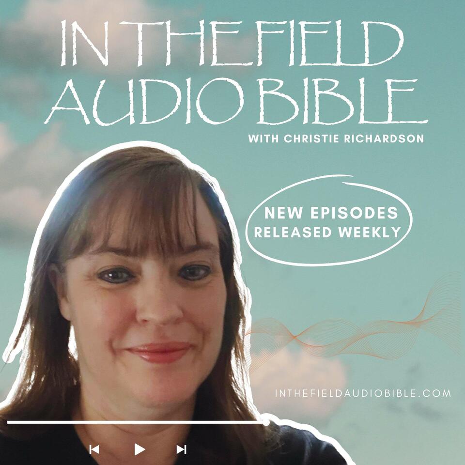 In the Field Audio Bible
