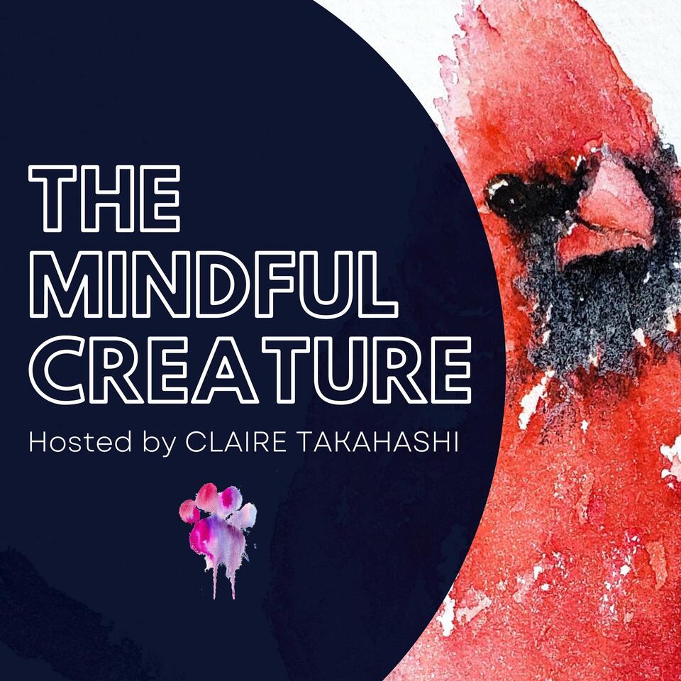 The Mindful Creature: Meditations for Exploring the Animal Within