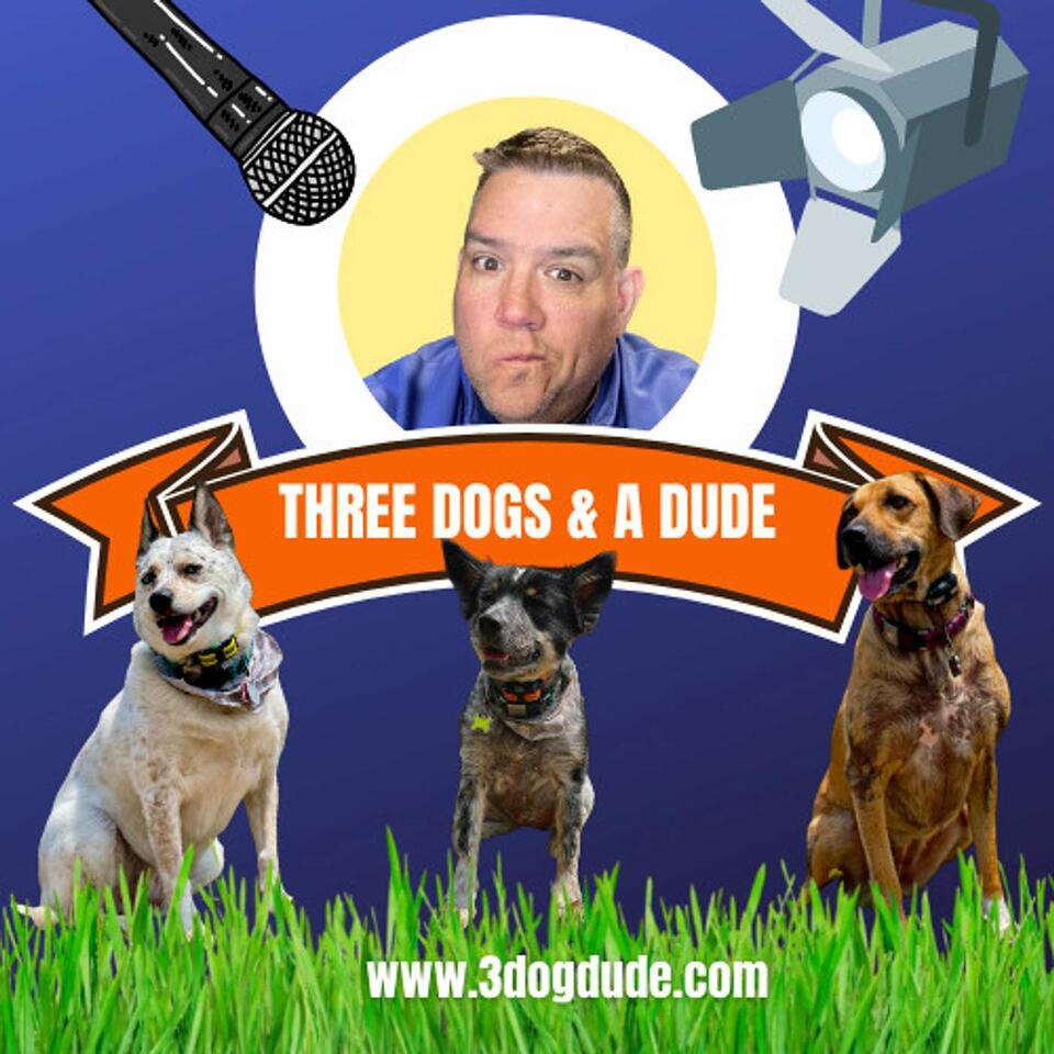 3 Dogs & A Dude