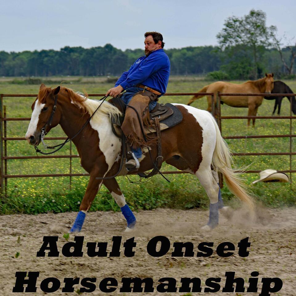 Adult Onset Horsemanship