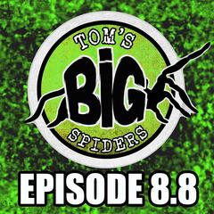 Tom's Big Spiders - Tarantulas and Inverts