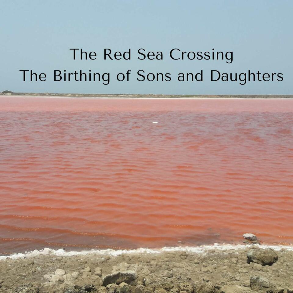 Birthing a New Breed: The Three Witnesses