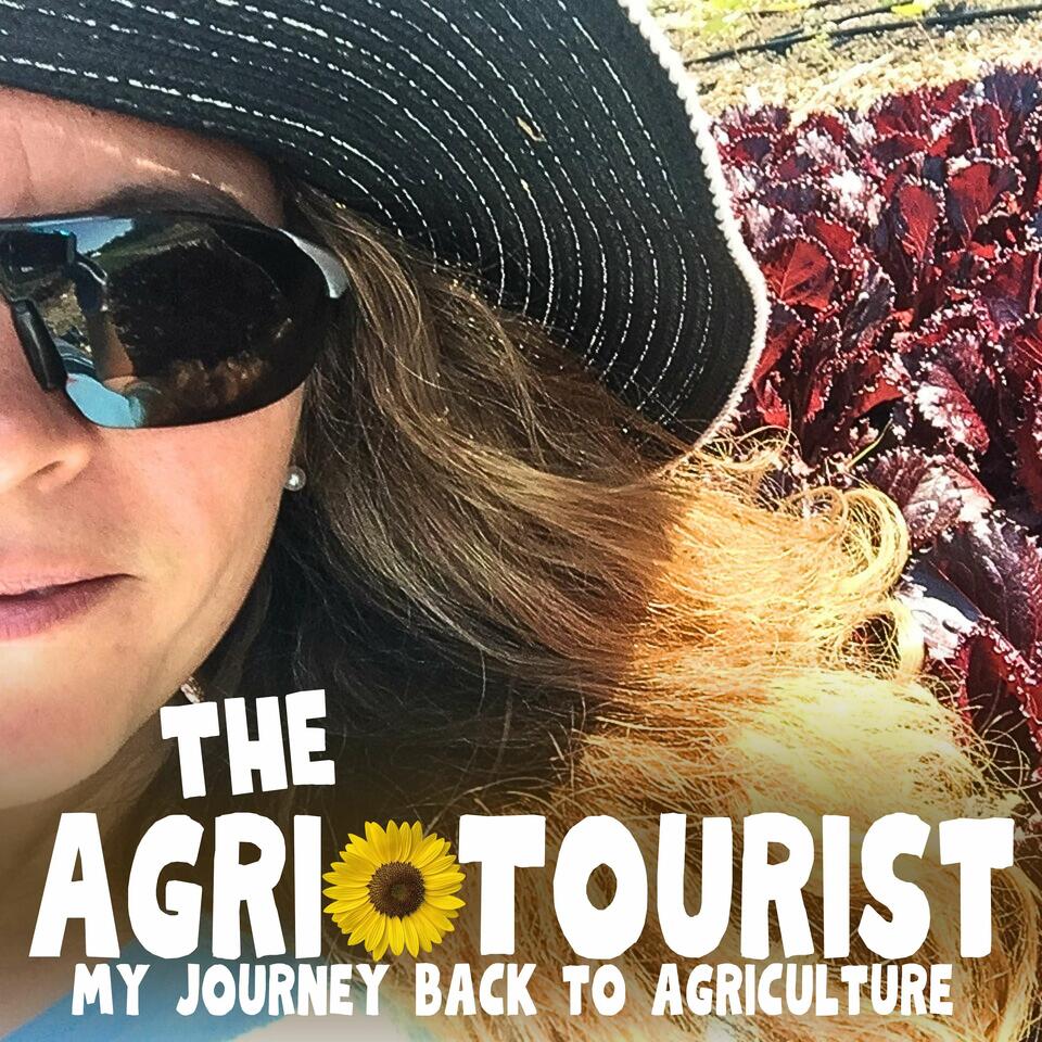 The Agri-Tourist, My Journey Back to Agriculture