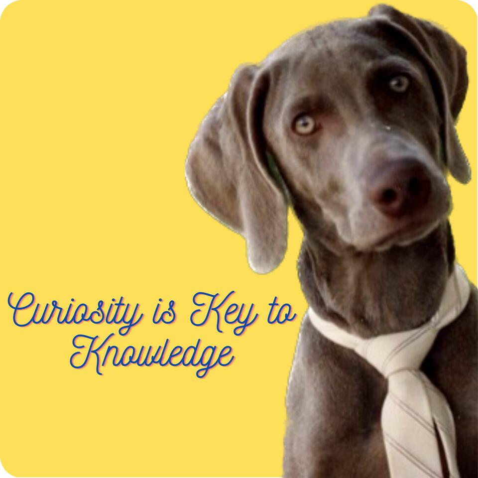 Curiosity is Key to Knowledge