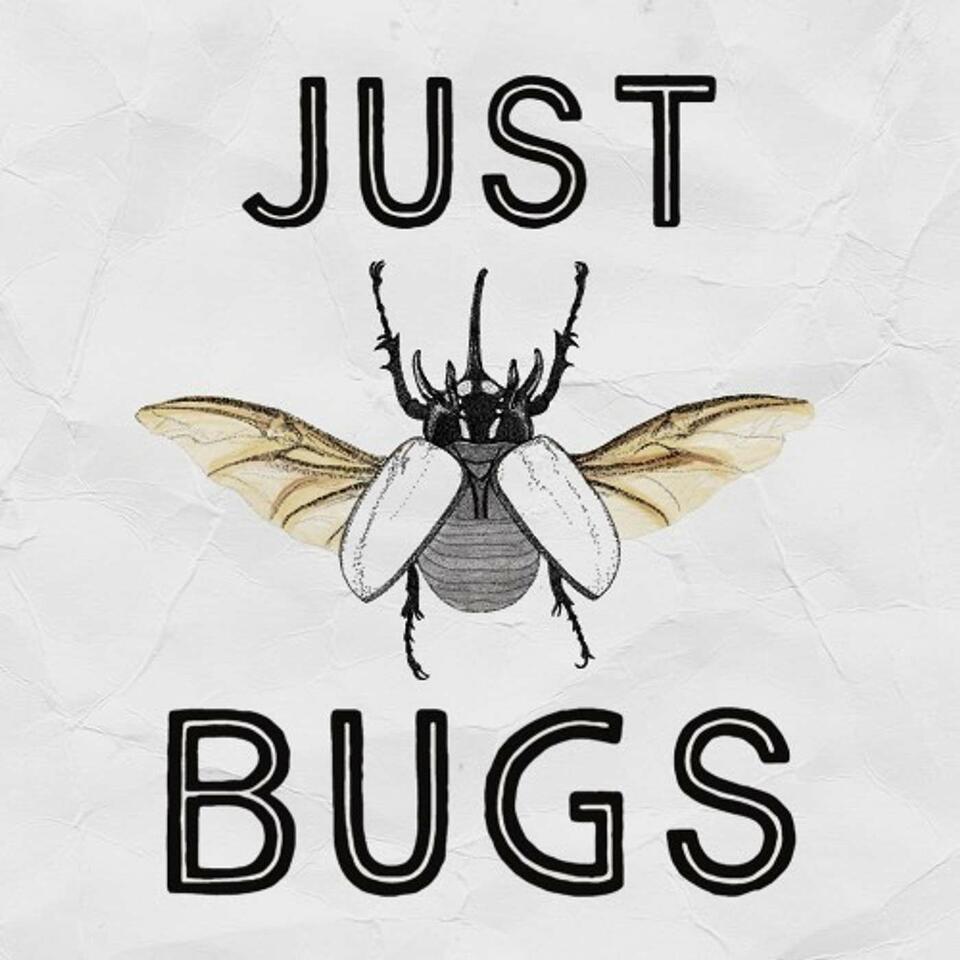 Just Bugs