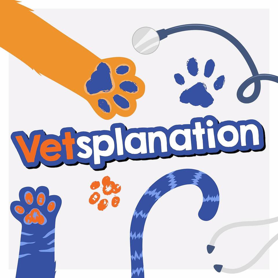 Vetsplanation: Pet Health Simplified
