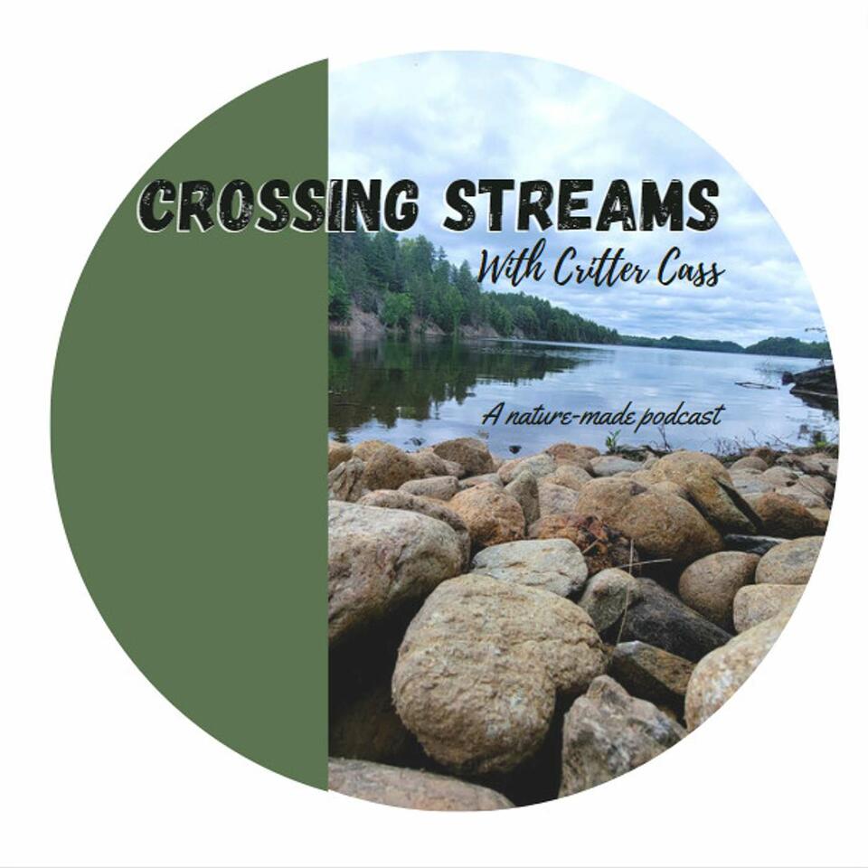 Crossing Streams