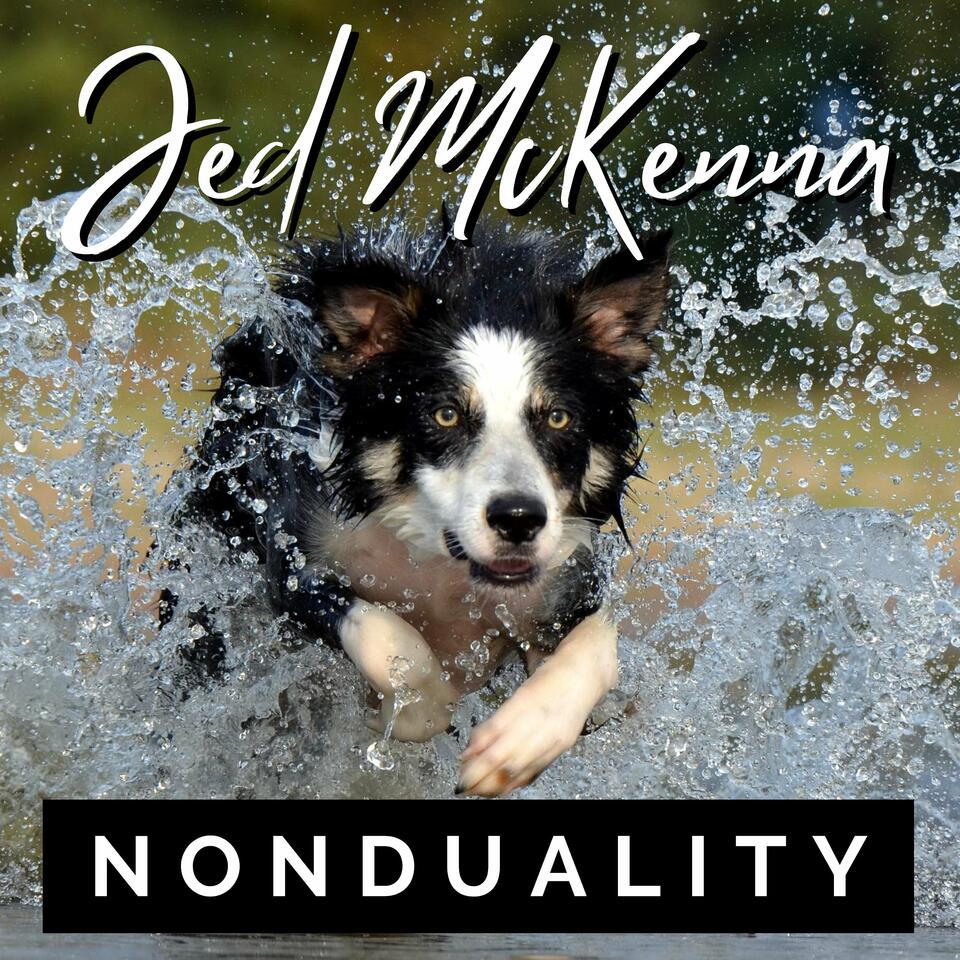 Jed McKenna Nonduality