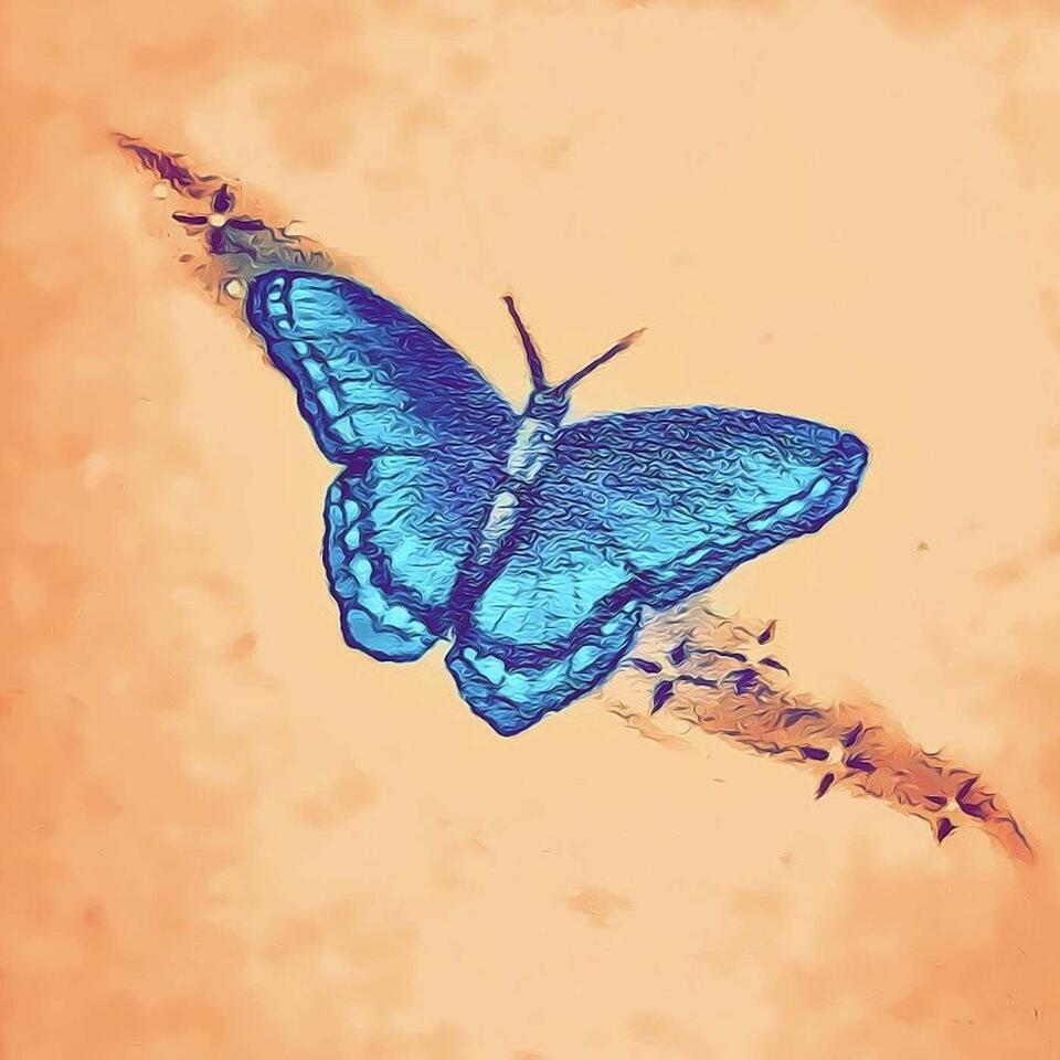 Becoming A Butterfly