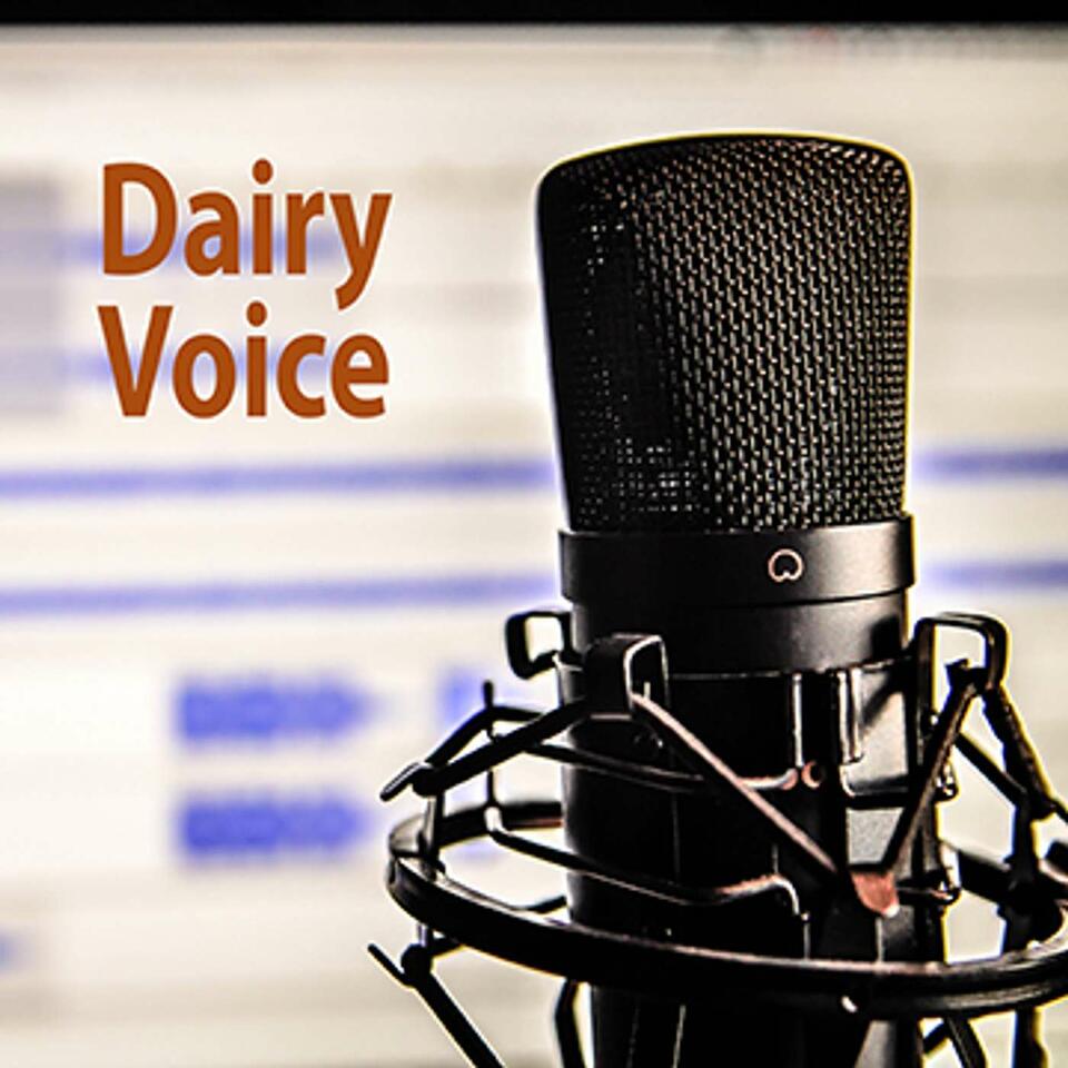 DairyVoice Podcast