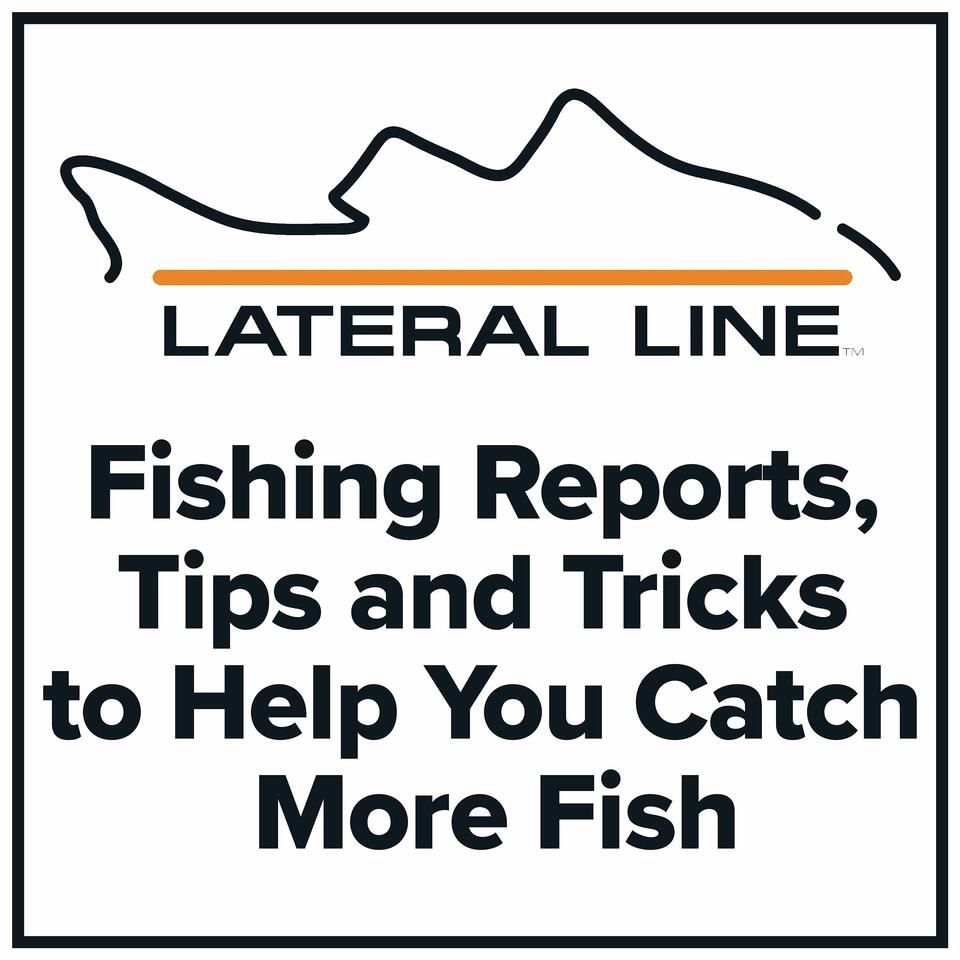Fishing Reports by Lateral Line Fishing Journal
