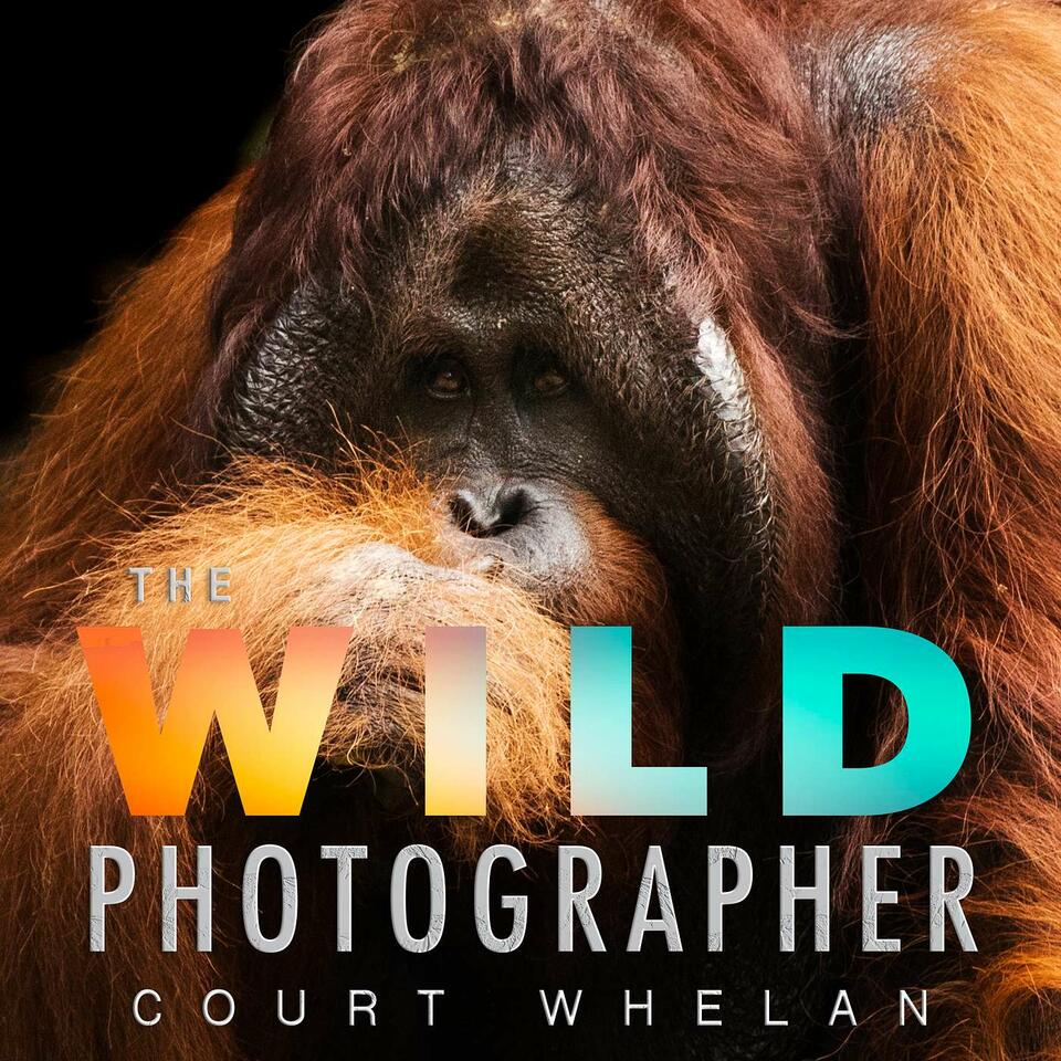 The Wild Photographer