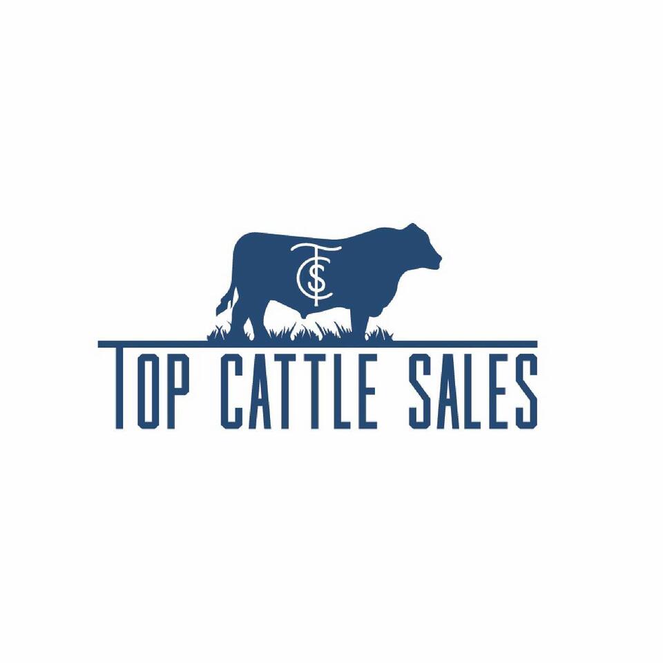 Top Cattle Sales
