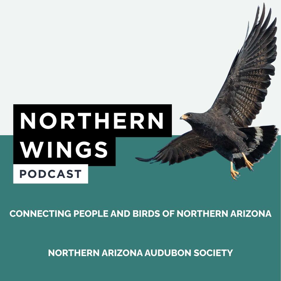 Northern Wings – Connecting People and Birds of Northern Arizona