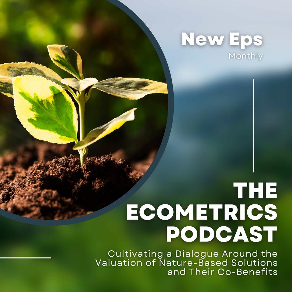 The EcoMetrics Podcast
