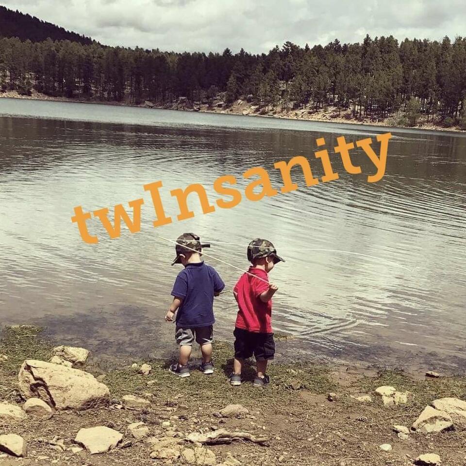 twInsanity