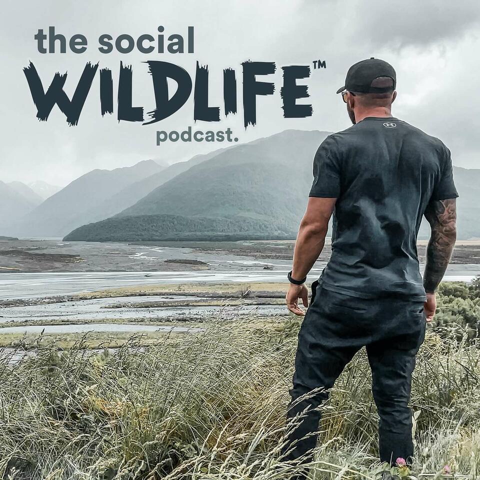 The Social Wildlife