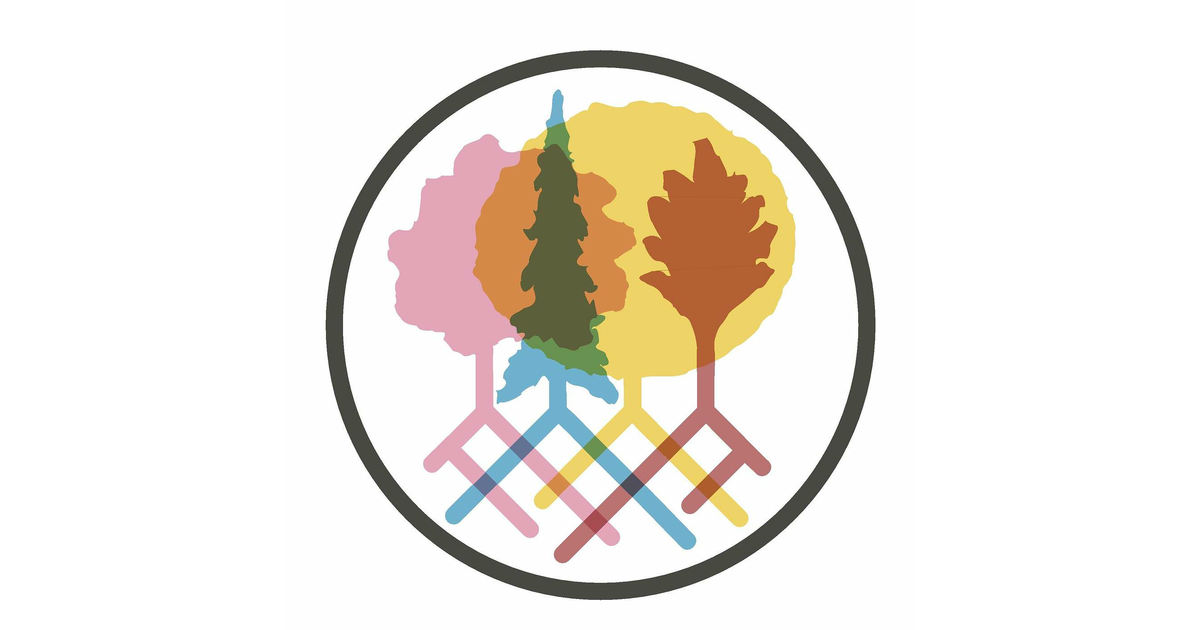 Unveiling Grace The Story of Rehab Community Brookside iHeart