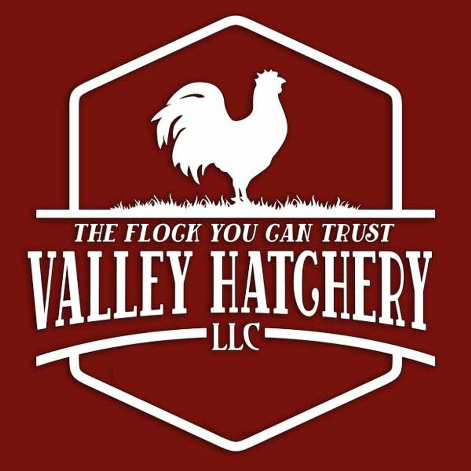 Valley Hatchery Podcast