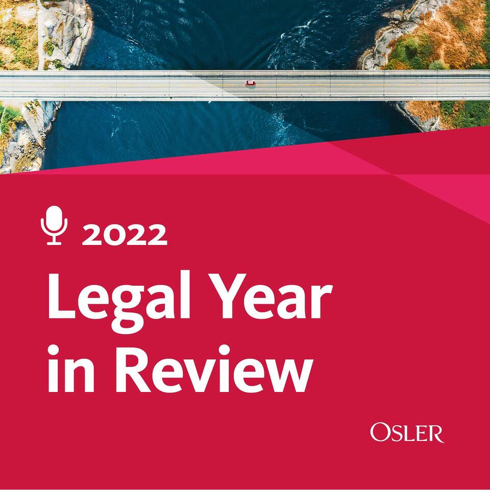 Legal Year in Review