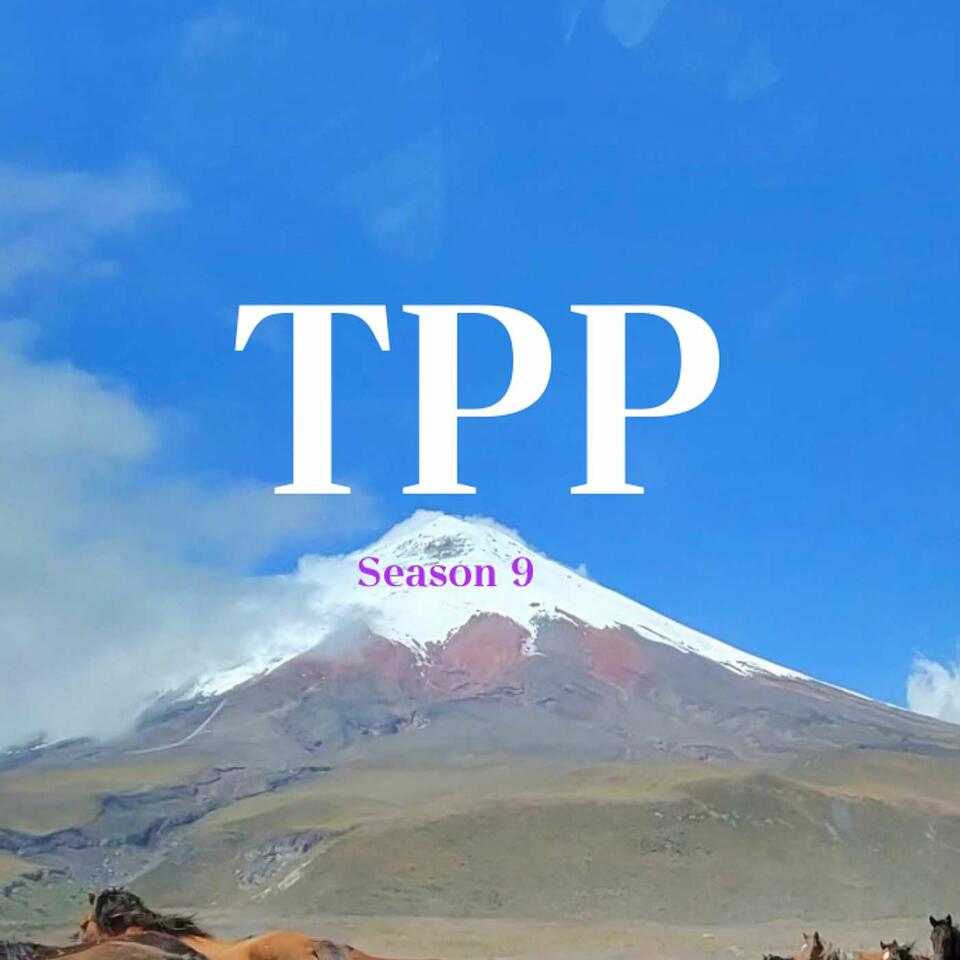 The Pasho Perspective