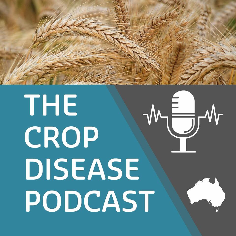 Crop Disease Podcast