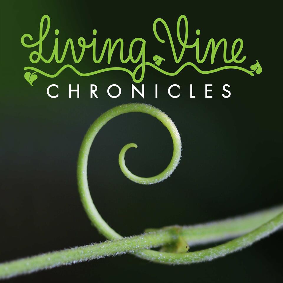 Living Vine Chronicles