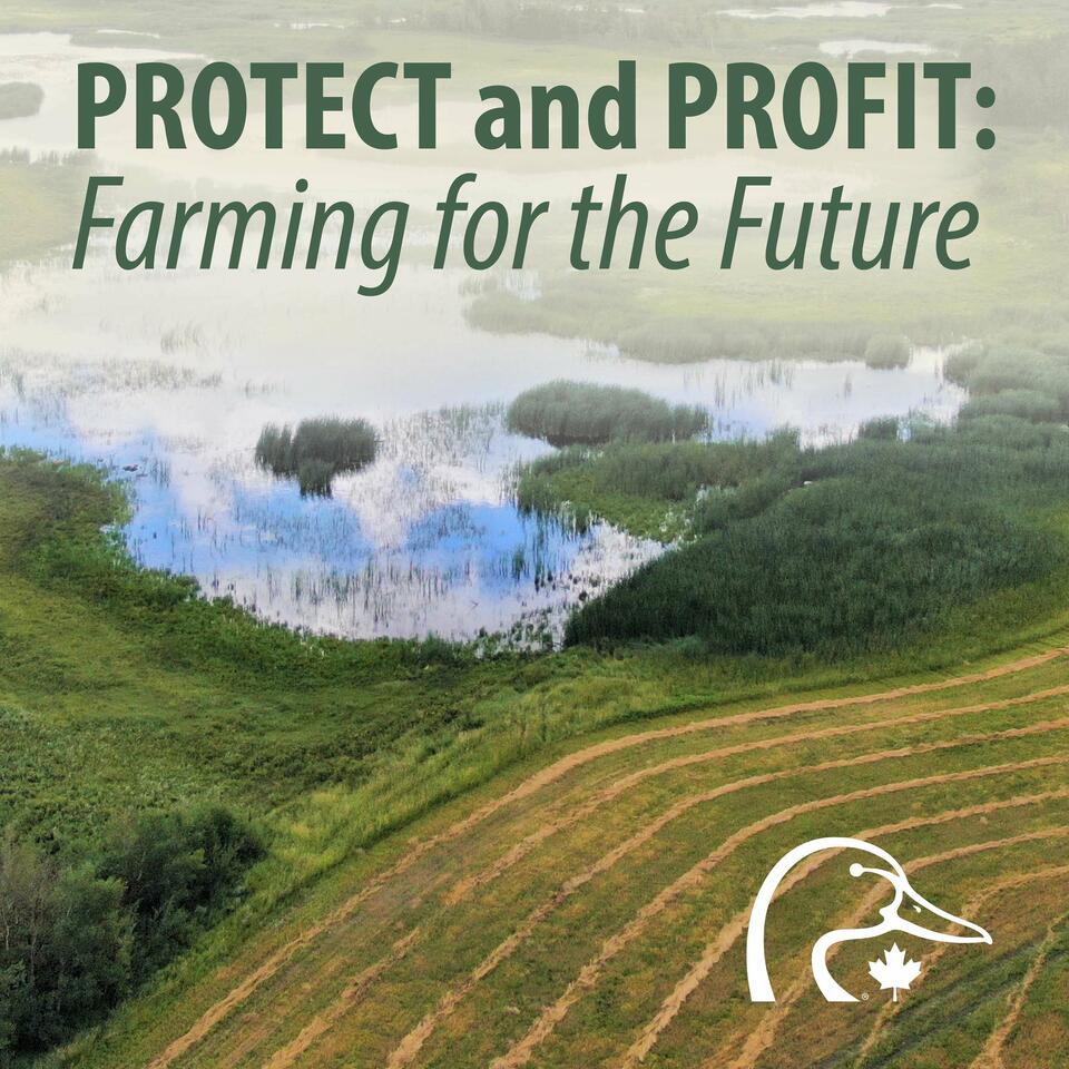 Protect and Profit: Farming for the Future