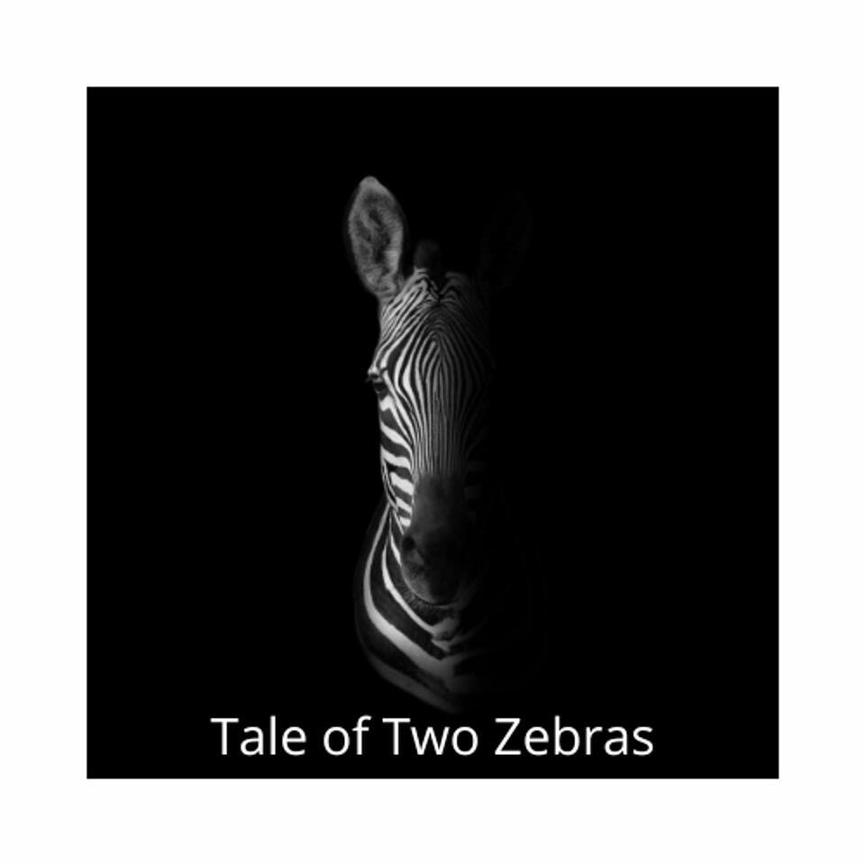 Tale of Two Zebras