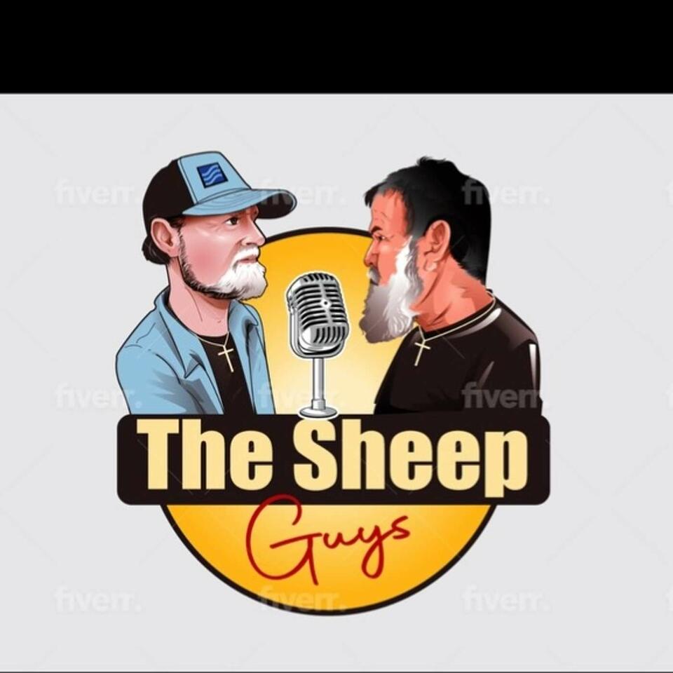 SHEEP GUYS