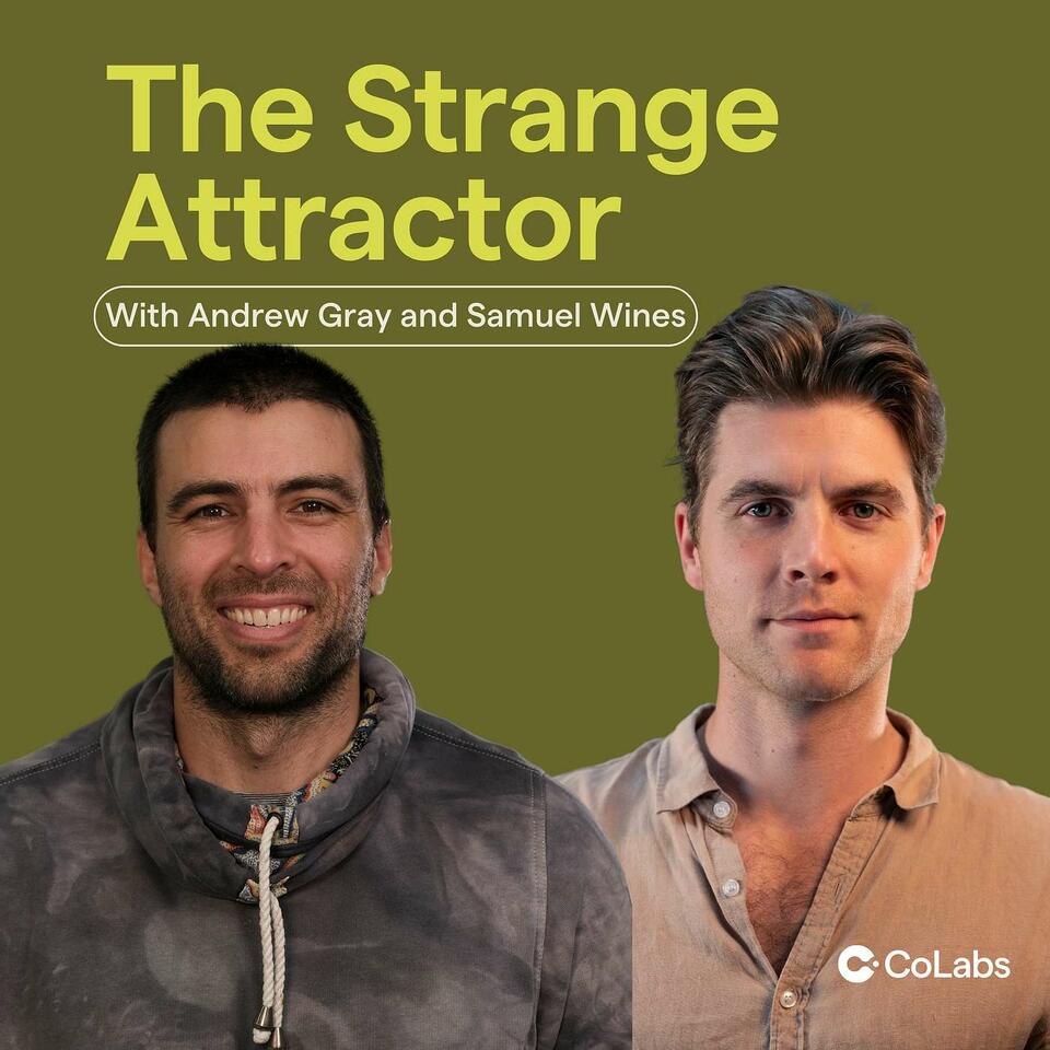 The Strange Attractor