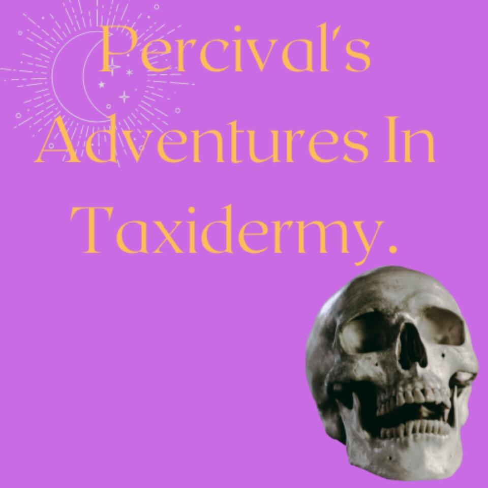 Percival's Adventures In Taxidermy