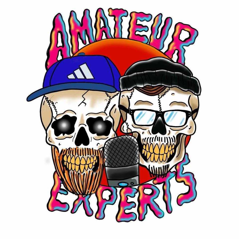Amateur Experts