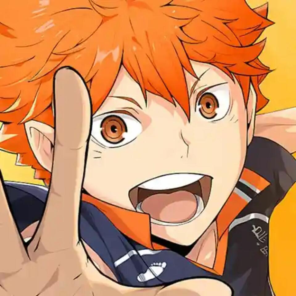 Haikyuu Fly High