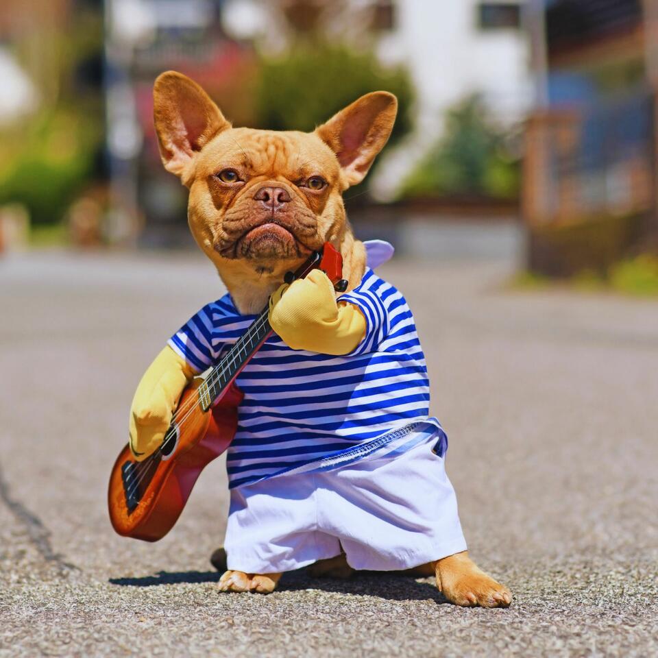 Paws & Purpose: The Dog Life Chronicles