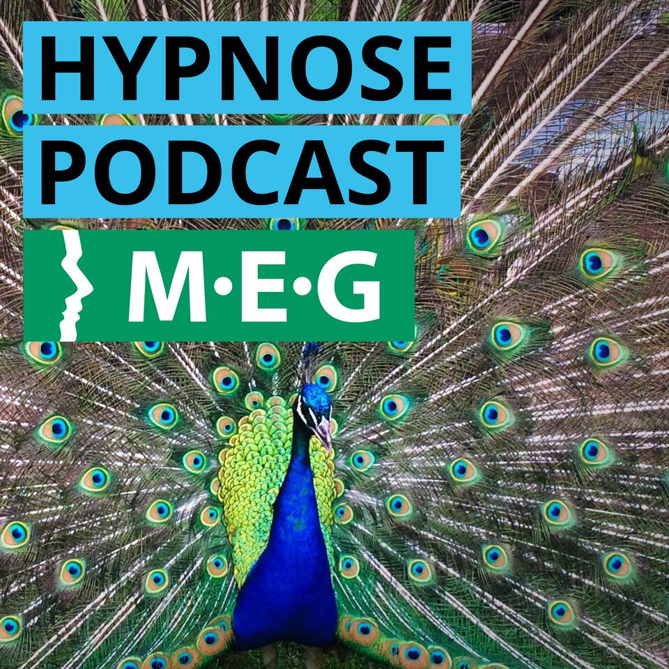 Der Hypnose Podcast der Milton H. Erickson Gesellschaft