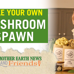 How to Grow Mushrooms: Liquid Culture Recipe - Mother Earth News and Friends