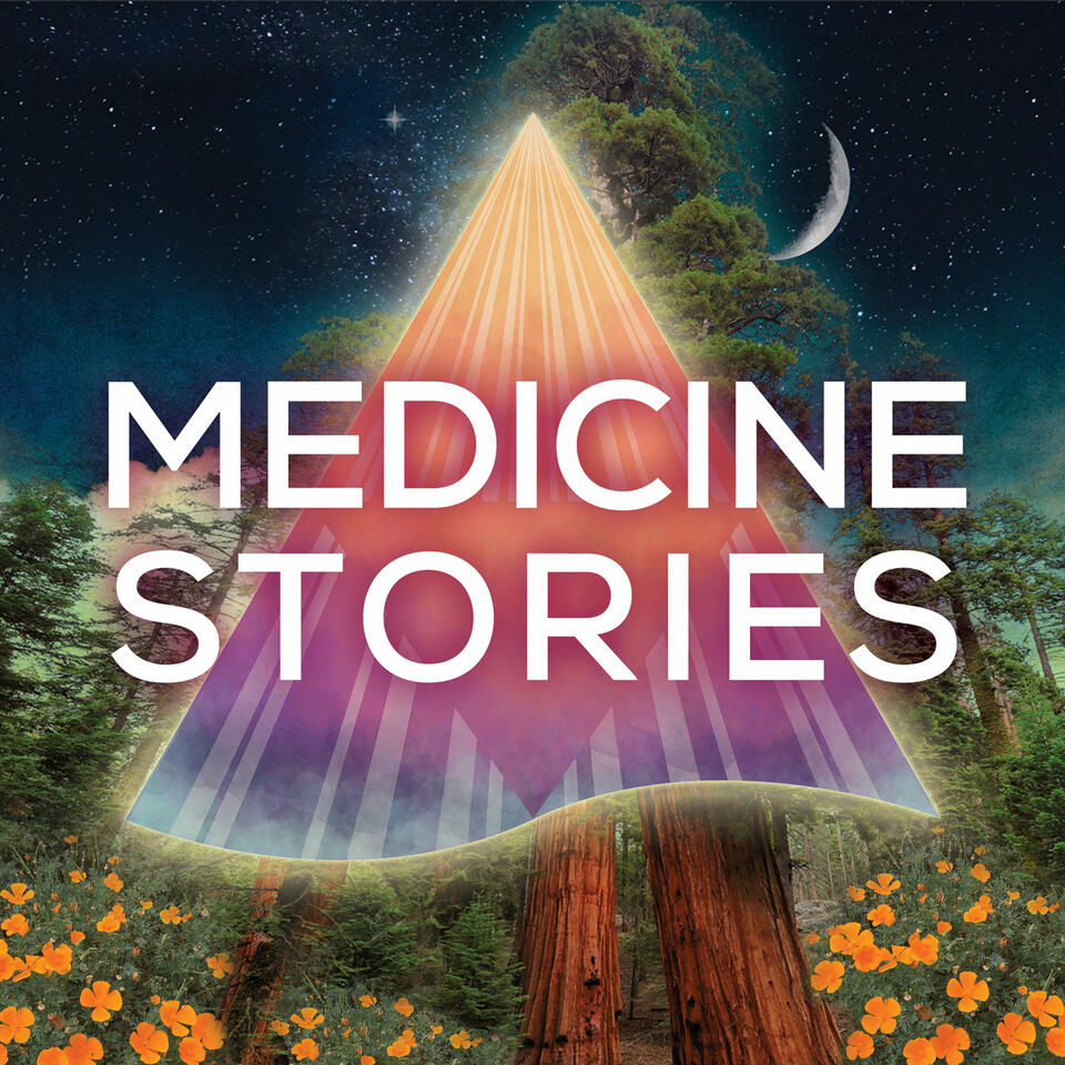 Medicine Stories