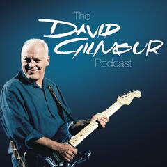 Episode 2: Acoustic Guitars - The David Gilmour Podcast